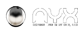 Onyx Consulting Services, LLC
